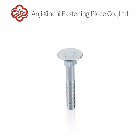 Fixations matérielles de boulon carré avec filetage