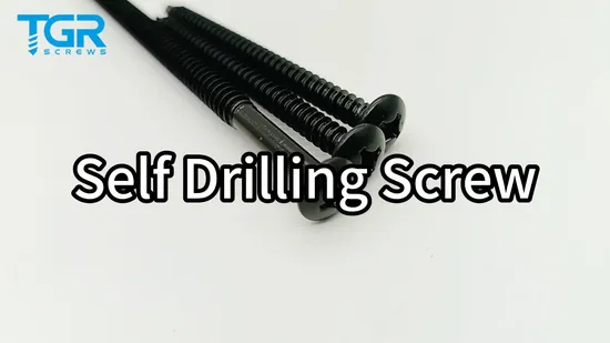 Vis Ruspert /Vis de toiture Fixation robuste